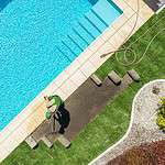 backyard pool maintenance